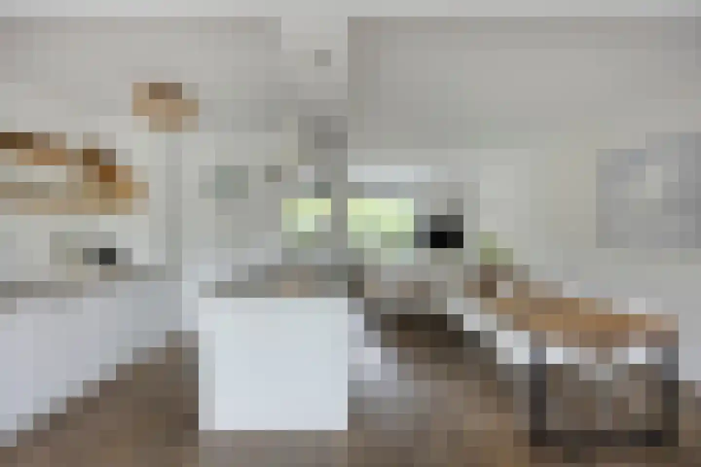 Vliet 2 Oudewater thumbnail 10