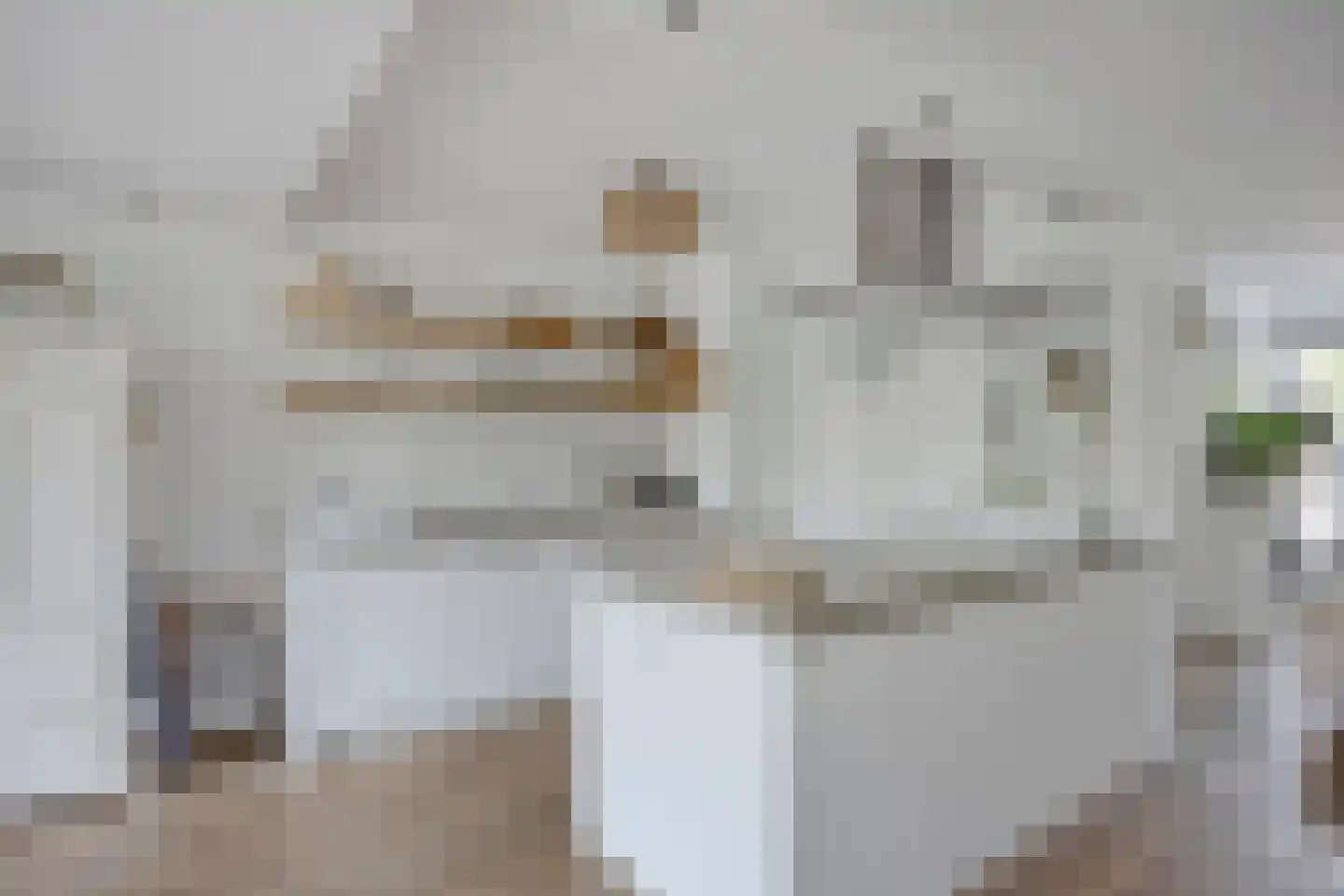 Vliet 2 Oudewater thumbnail 12