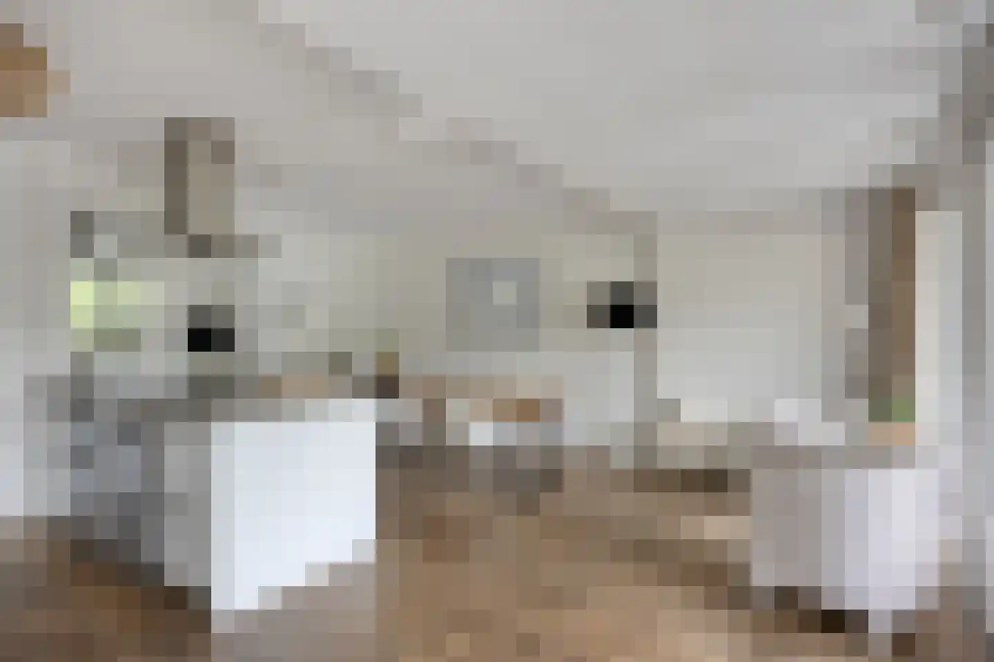 Vliet 2 Oudewater thumbnail 14