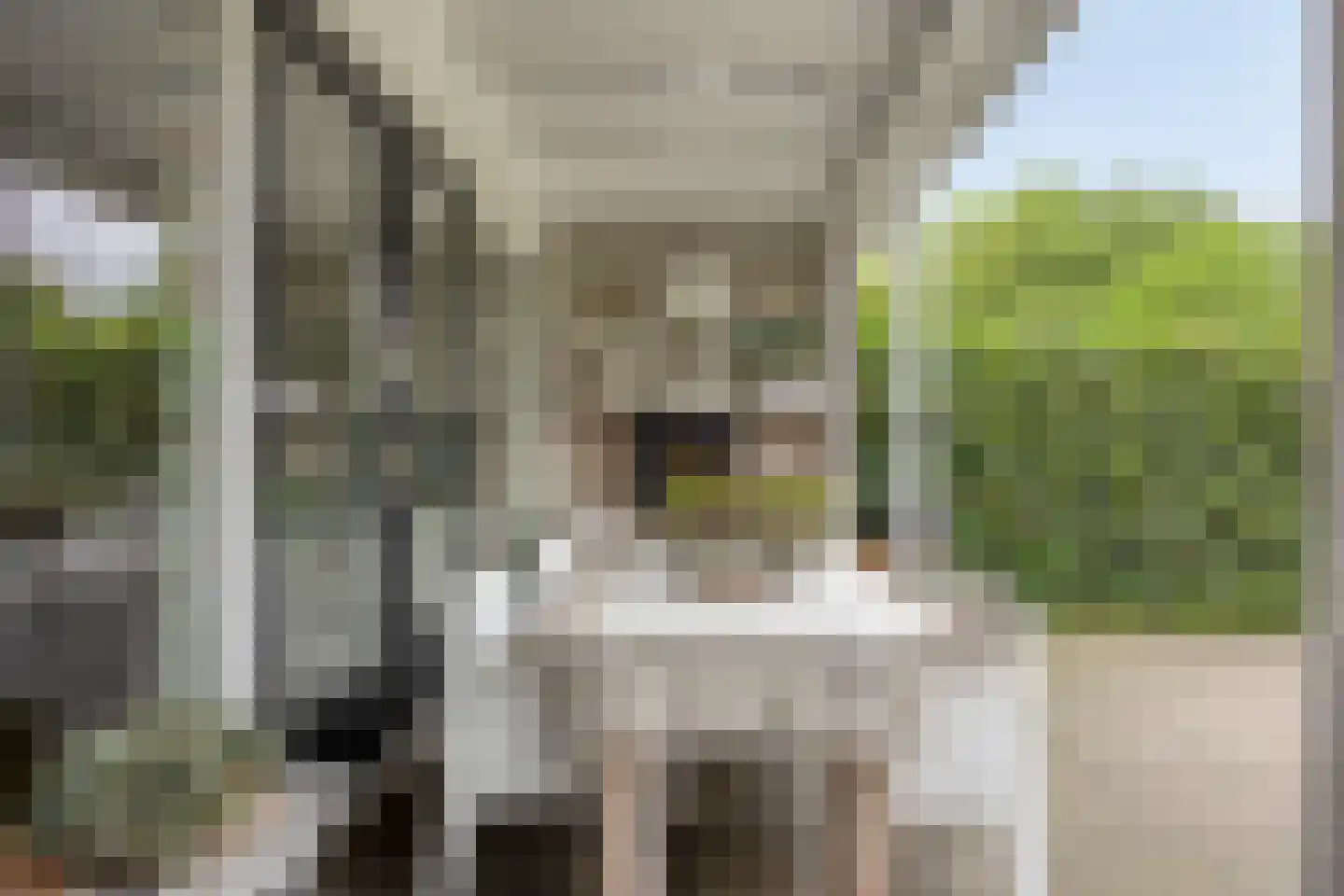 Vliet 2 Oudewater thumbnail 17