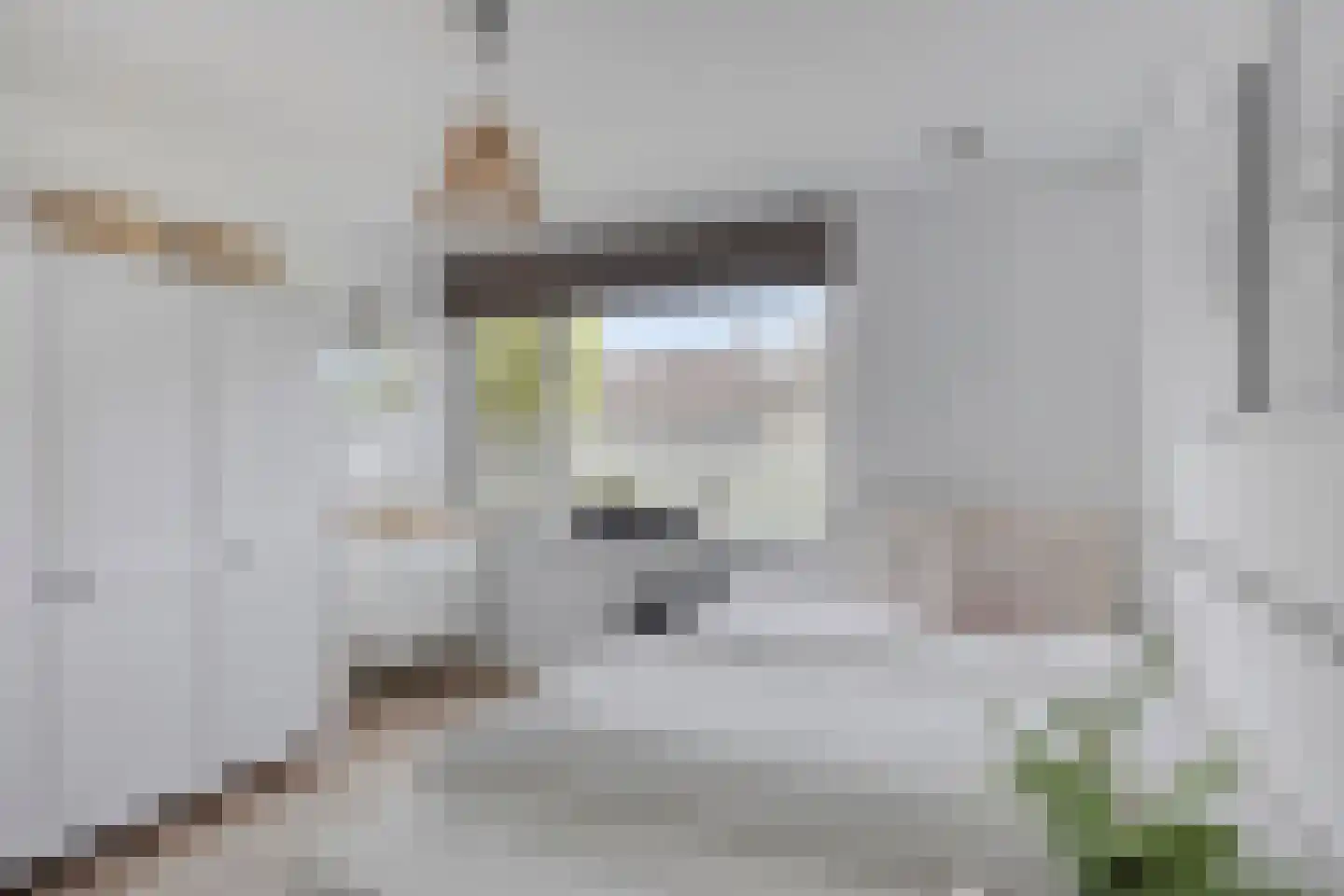 Vliet 2 Oudewater thumbnail 23