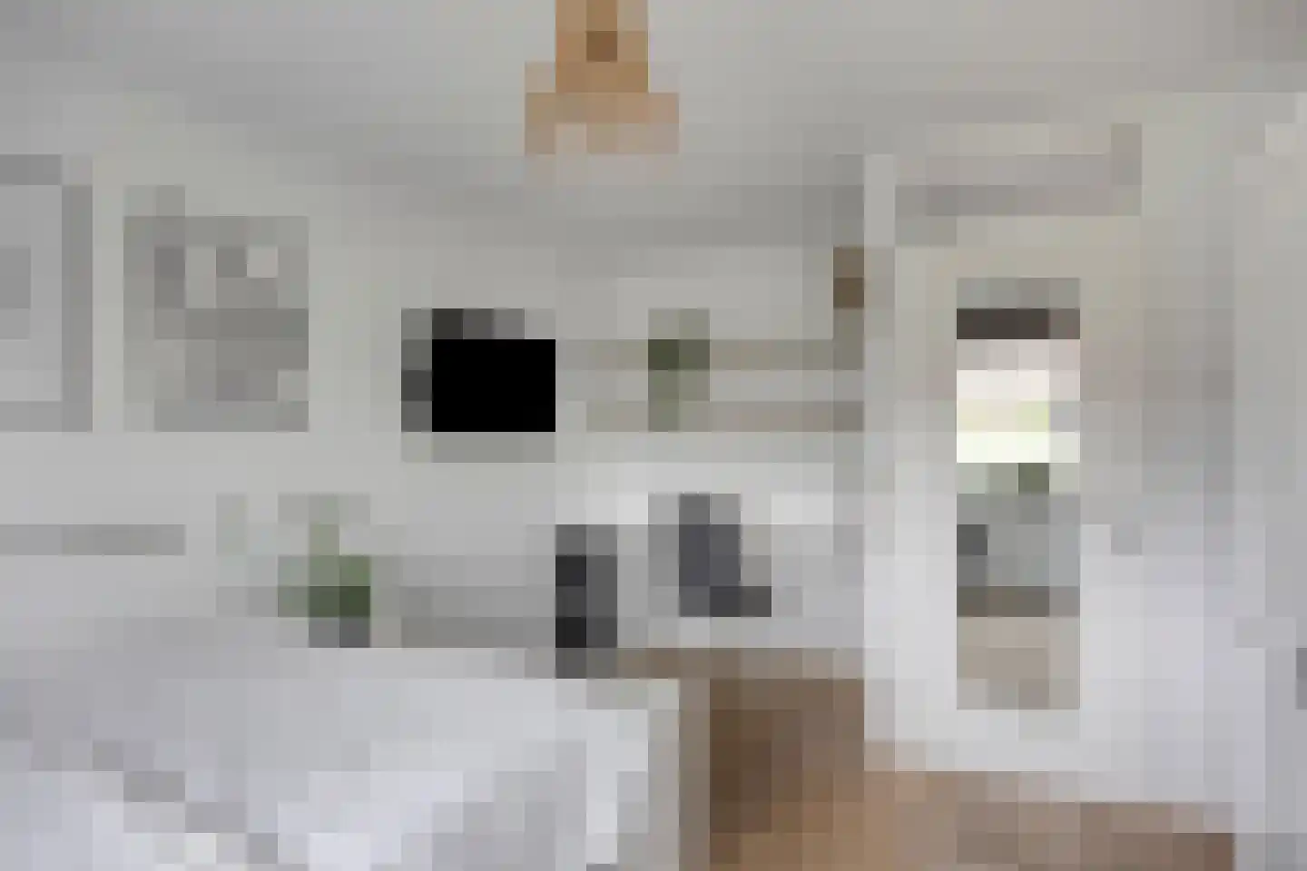 Vliet 2 Oudewater thumbnail 24