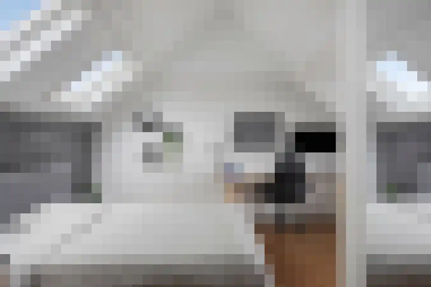 Vliet 2 Oudewater thumbnail 32