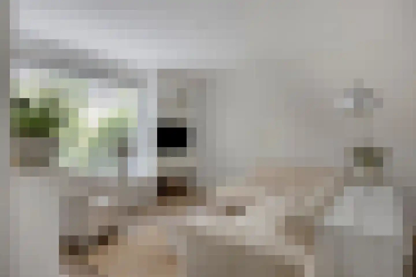 Vliet 2 Oudewater thumbnail 5