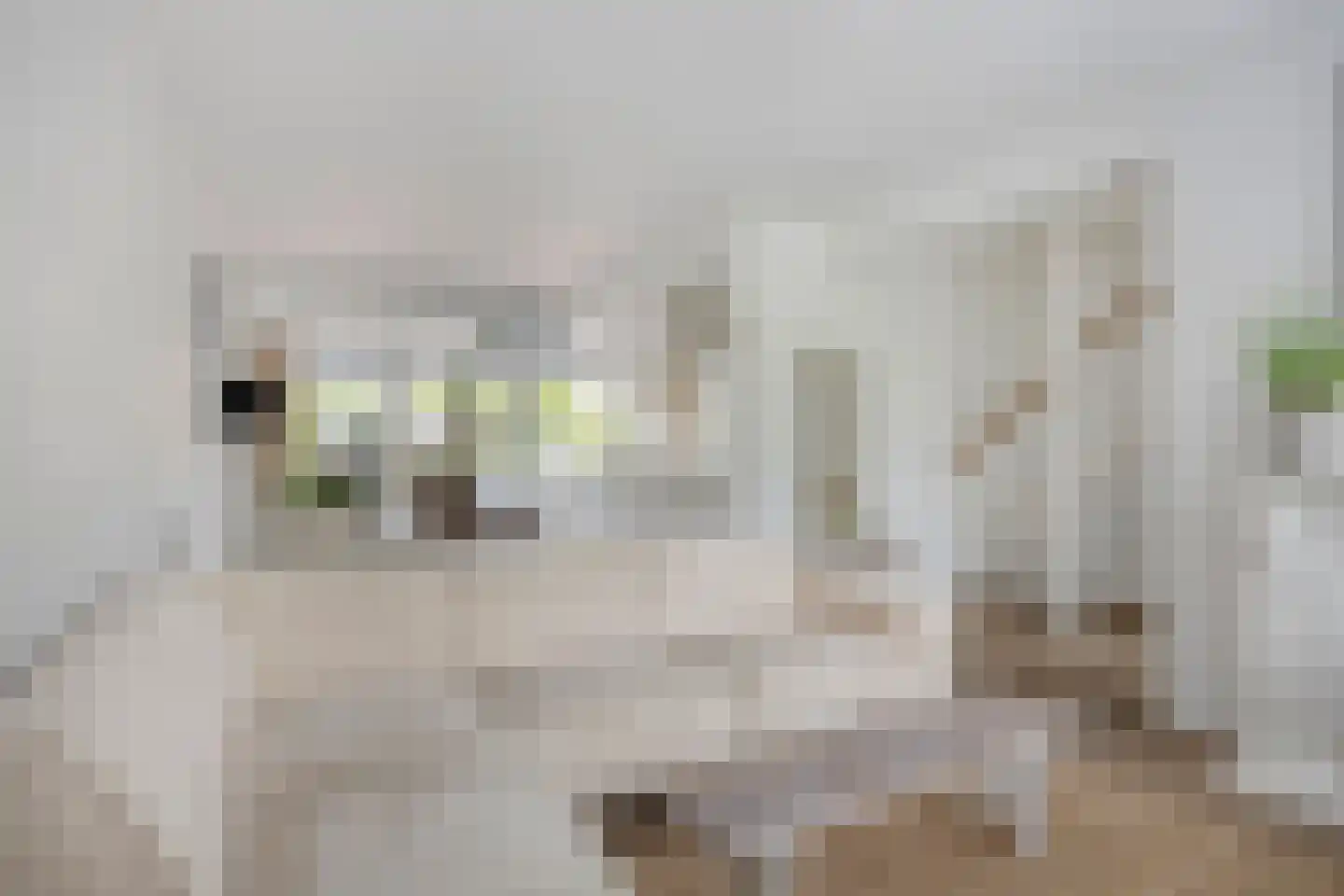 Vliet 2 Oudewater thumbnail 6