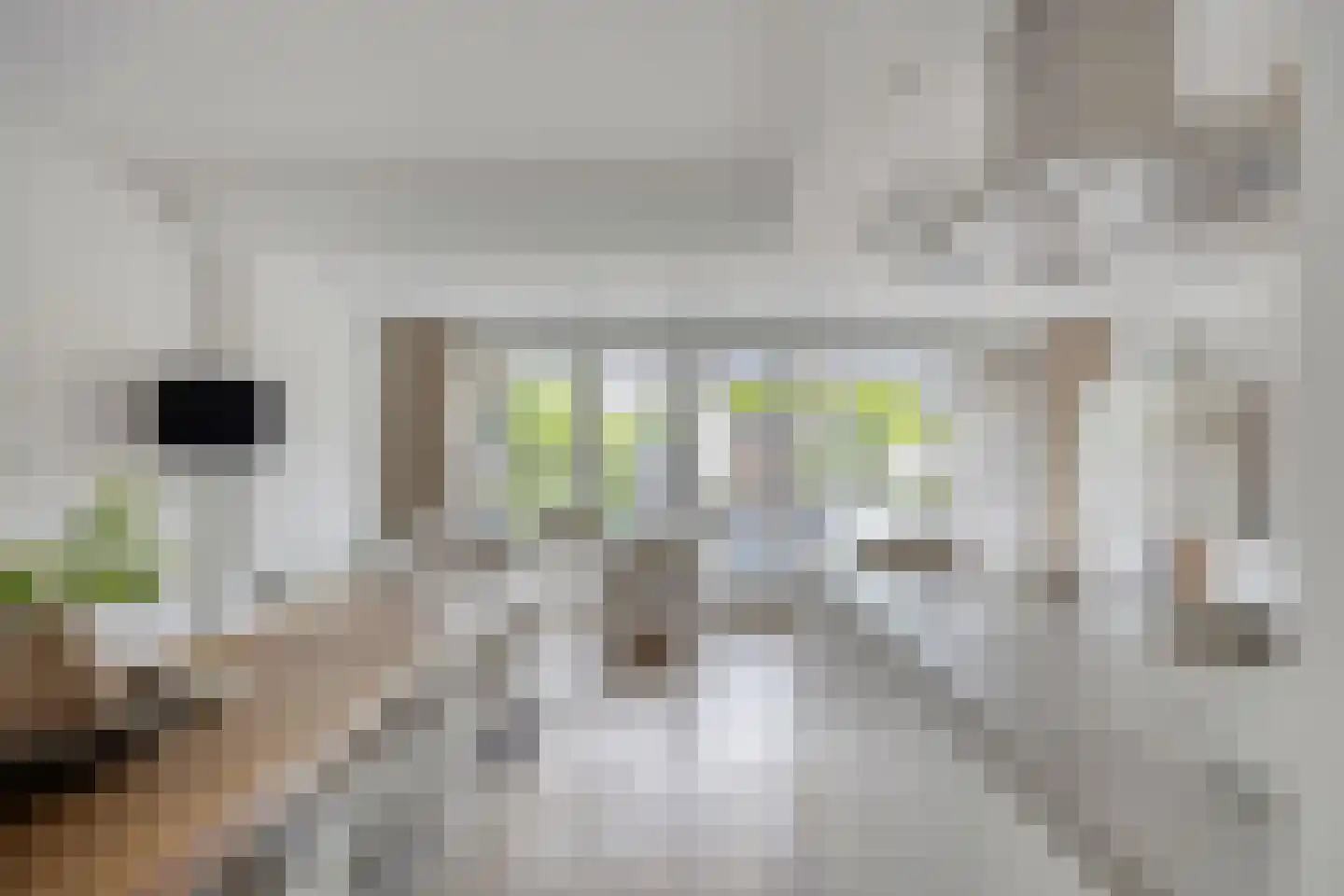 Vliet 2 Oudewater thumbnail 8