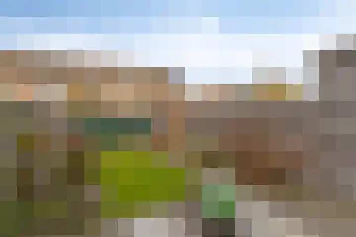 Vliet 21 Heerhugowaard thumbnail 29
