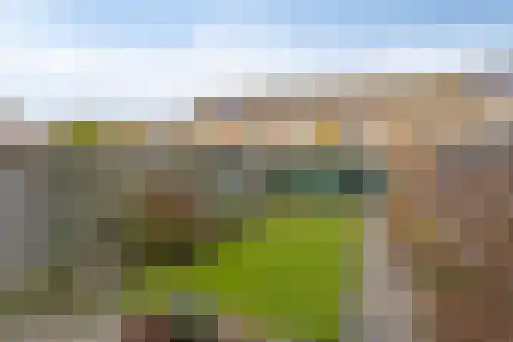 Vliet 21 Heerhugowaard thumbnail 30