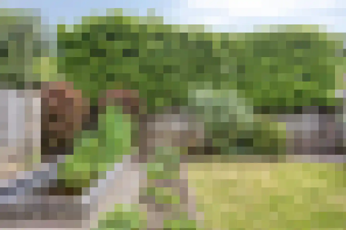 Vliet 22 Someren thumbnail 32