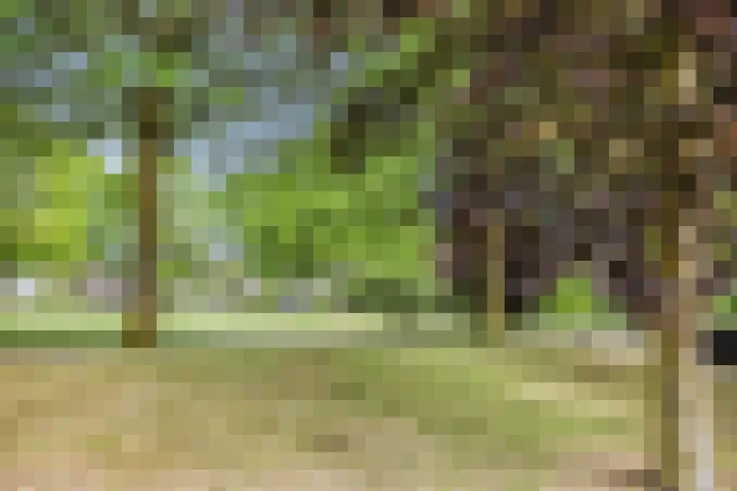 Vliet 22 Someren thumbnail 34