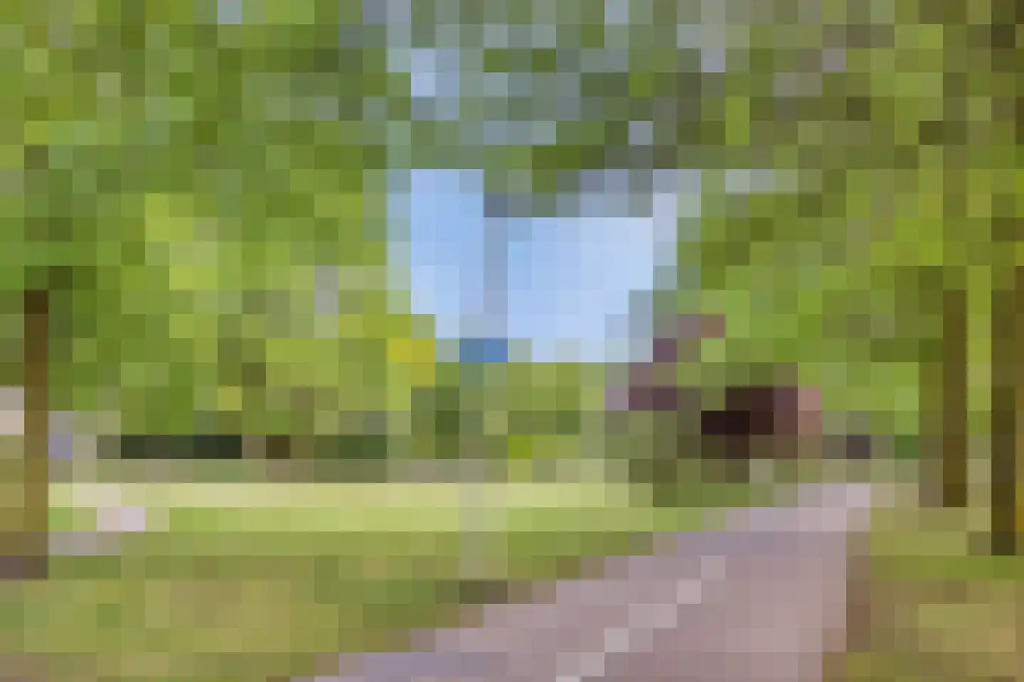 Vliet 22 Someren thumbnail 35