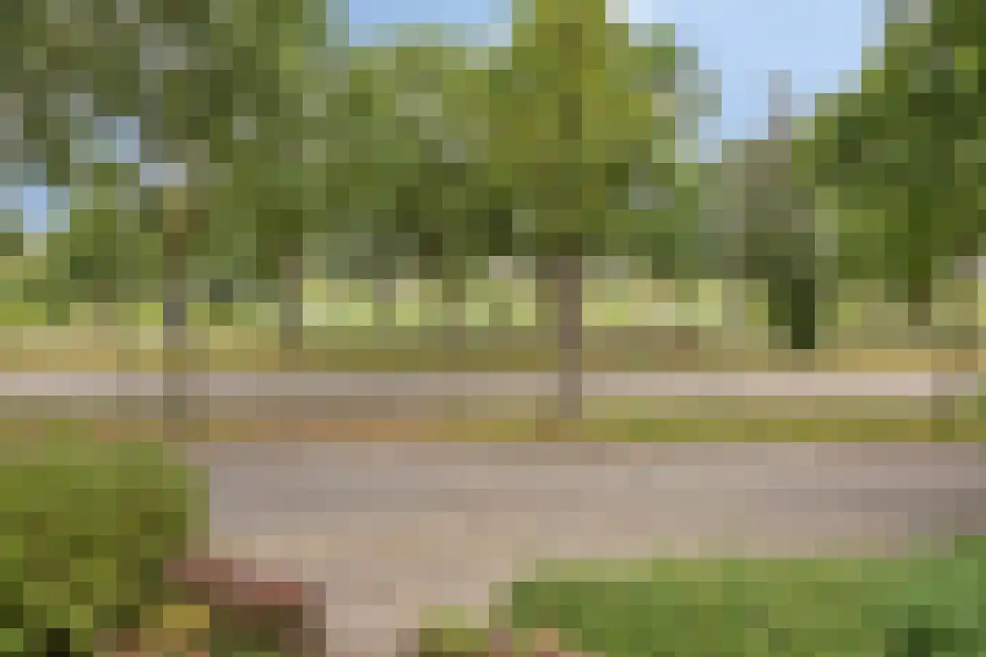 Vliet 31 Zwolle thumbnail 18