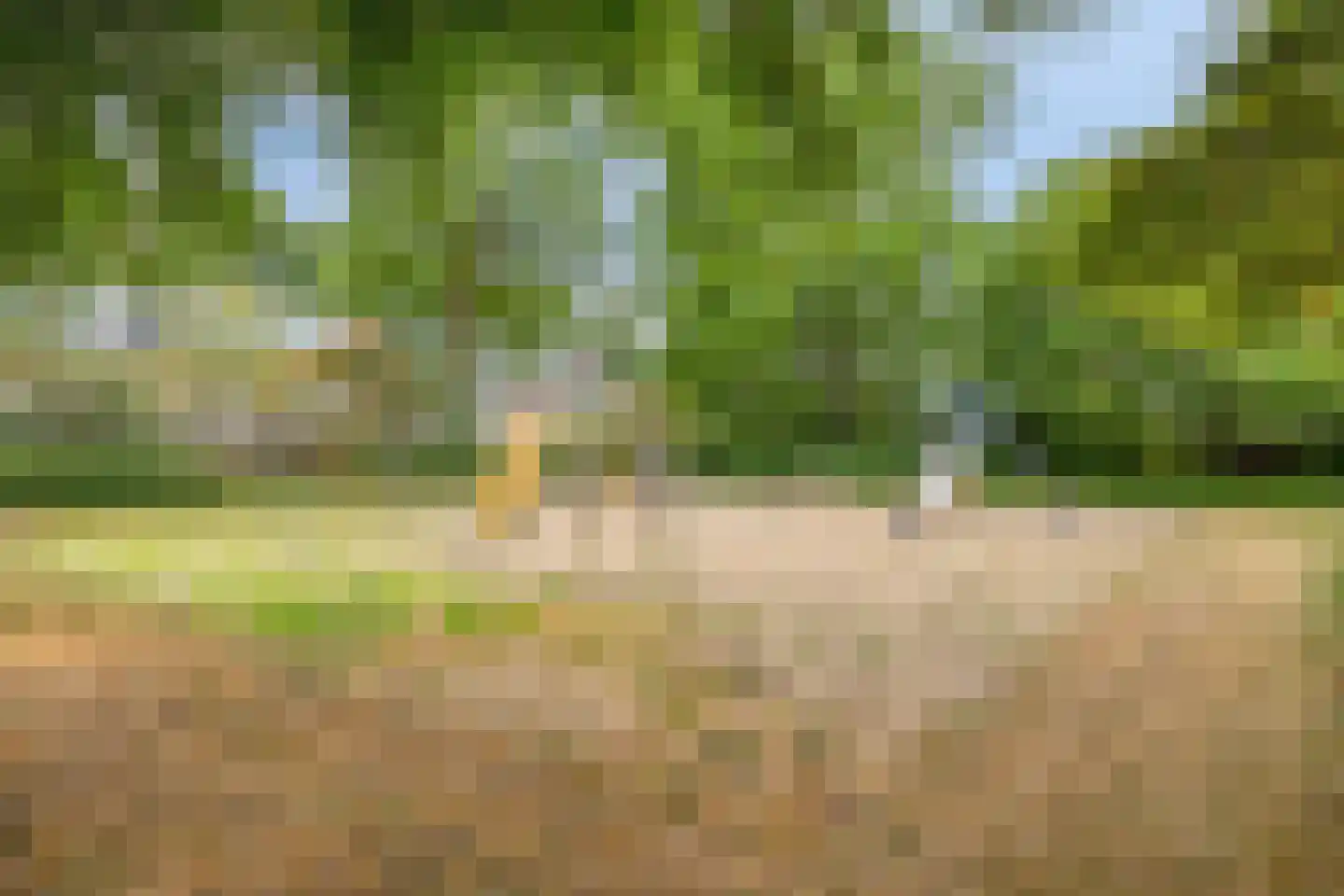 Vliet 31 Zwolle thumbnail 33
