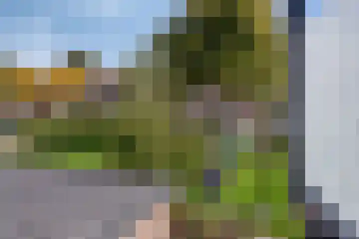 Vliet 33 Heerhugowaard thumbnail 31