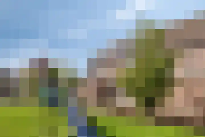 Vliet 33 Heerhugowaard thumbnail 40