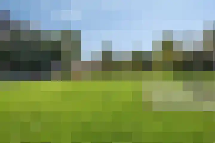 Vliet 33 Heerhugowaard thumbnail 42