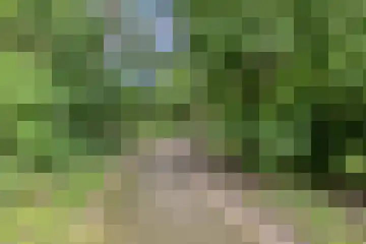 Vliet 33 Heerhugowaard thumbnail 43