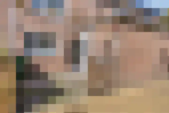 Vliet 33 Heerhugowaard thumbnail 5