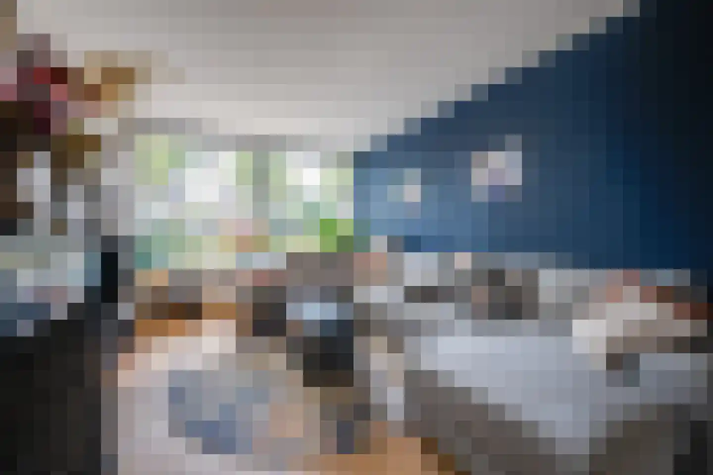 Vliet 34 Prinsenbeek thumbnail 13