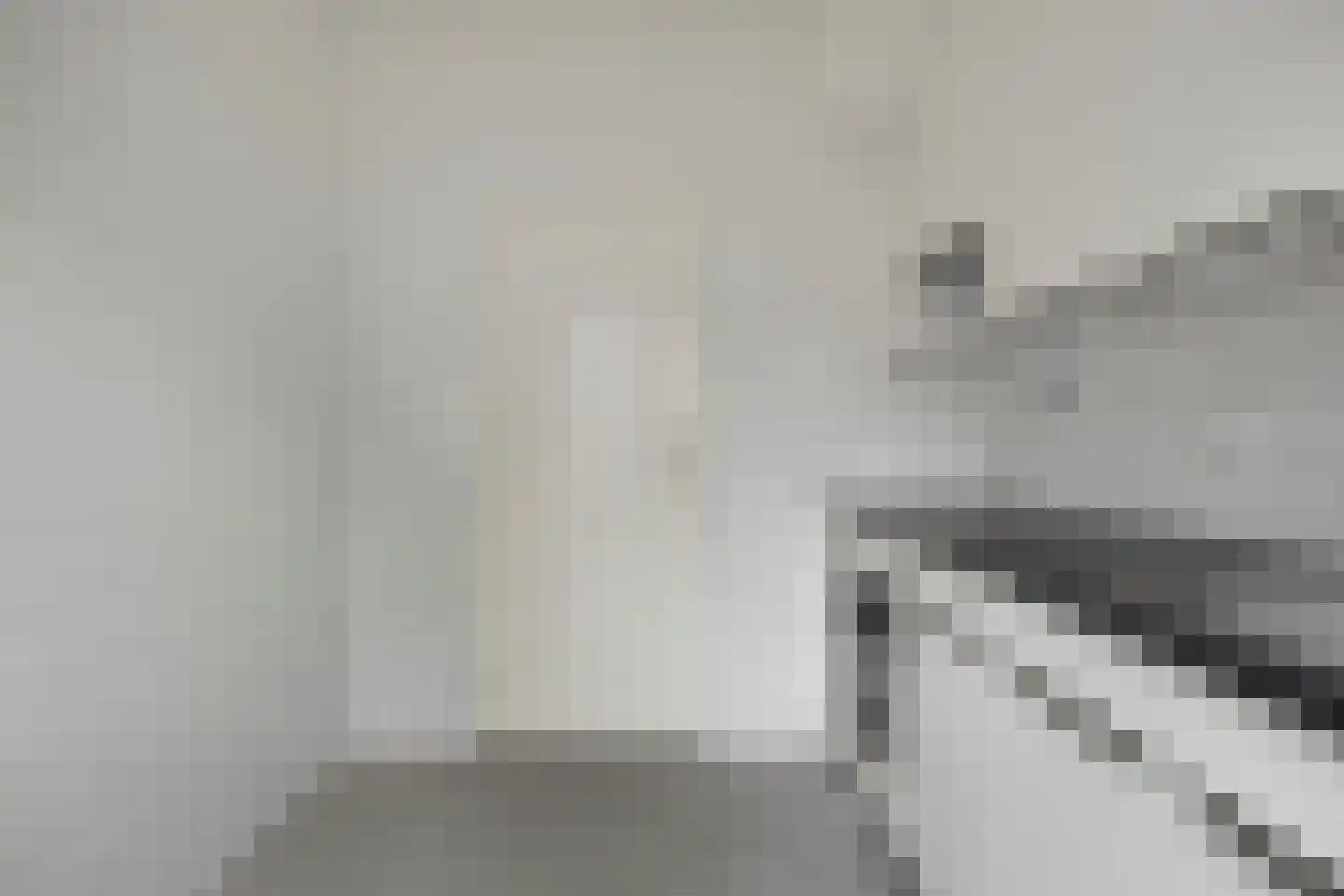 Vliet 35 Zwolle thumbnail 13
