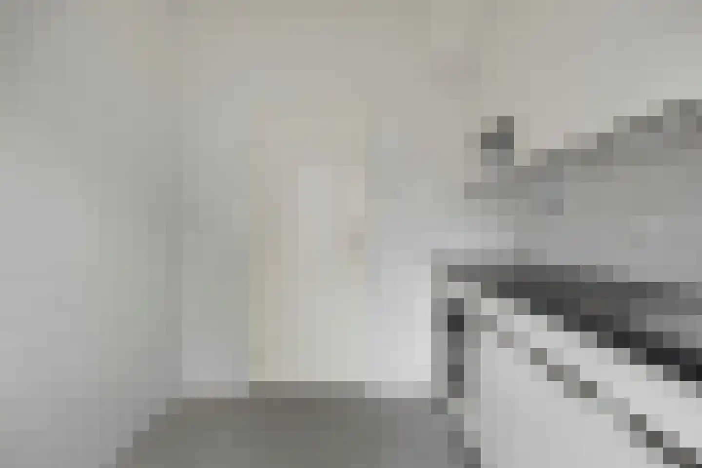 Vliet 35 Zwolle thumbnail 13