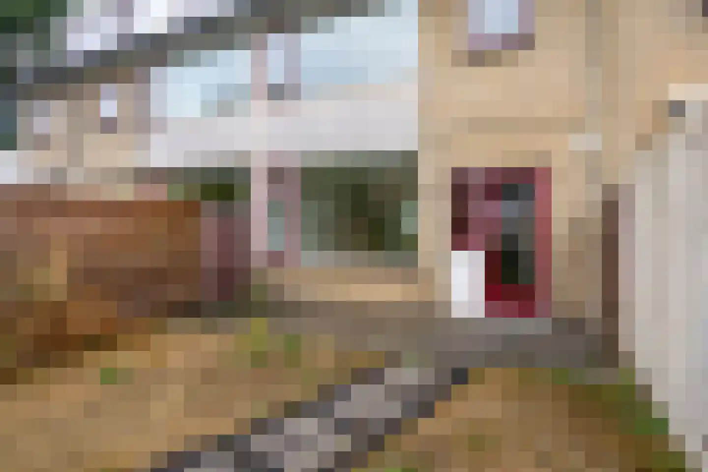 Vliet 35 Zwolle thumbnail 30