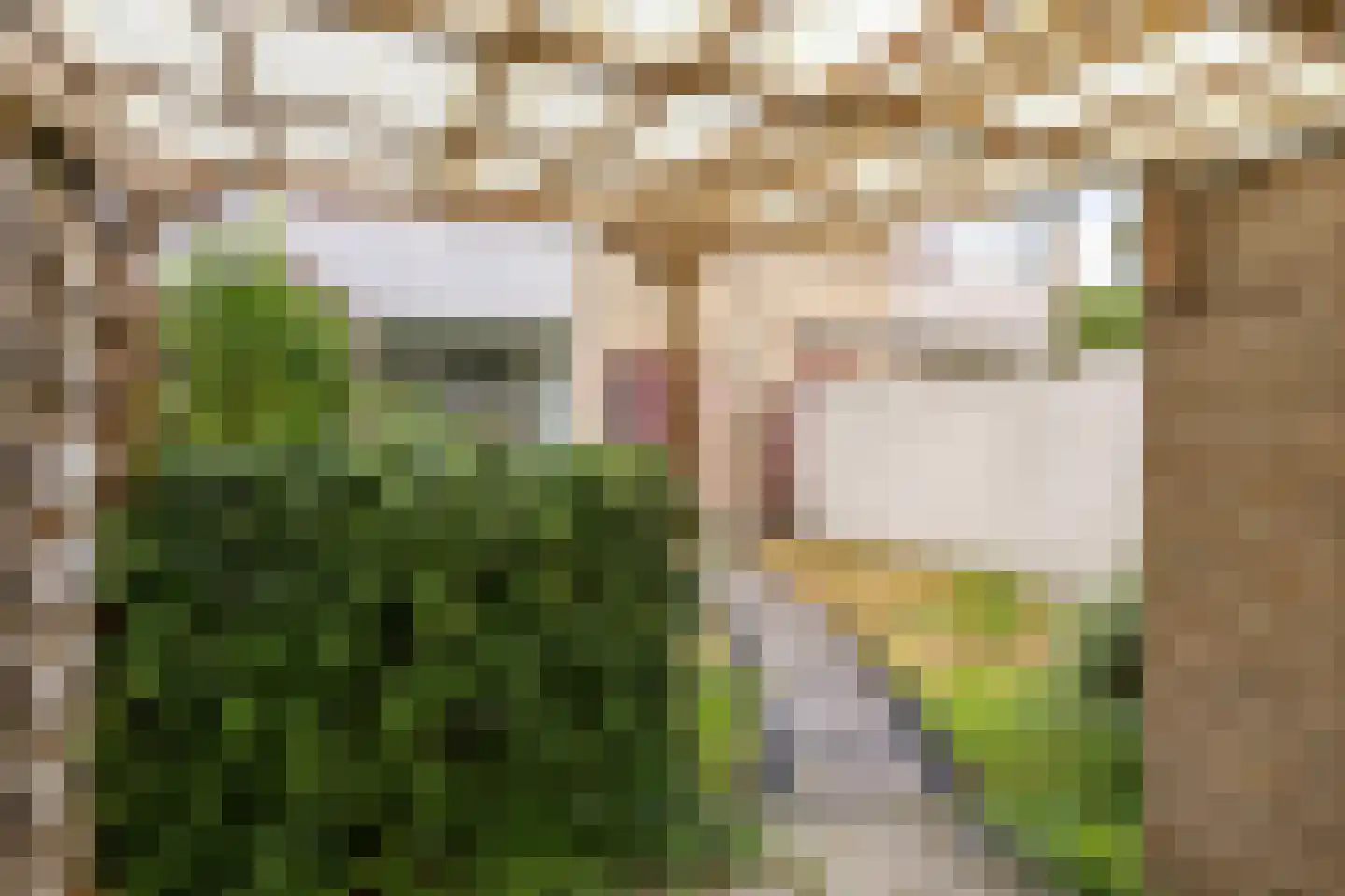 Vliet 35 Zwolle thumbnail 33