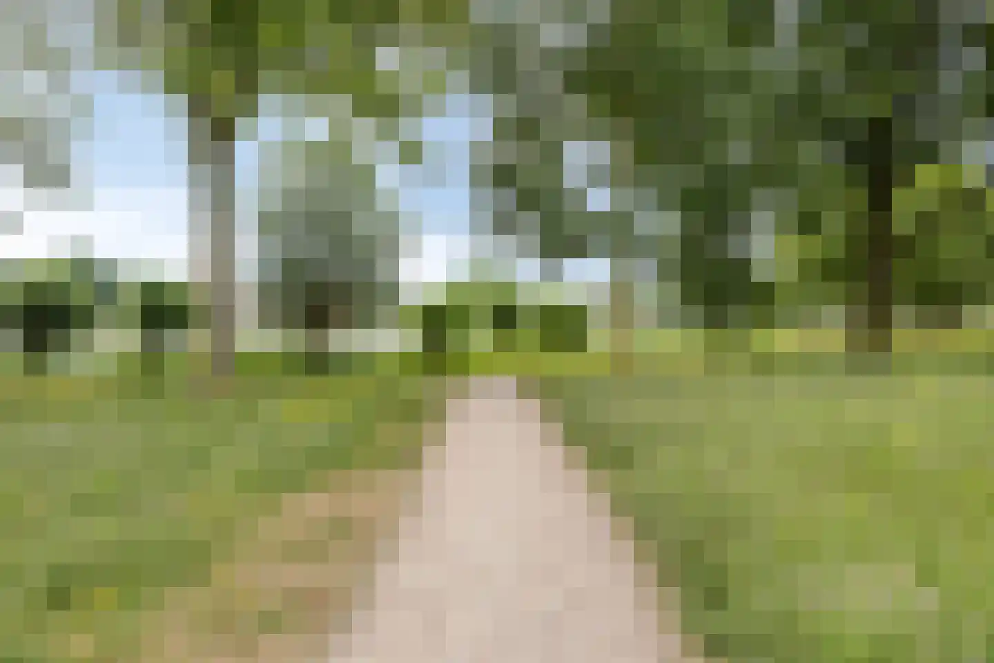 Vliet 35 Zwolle thumbnail 35