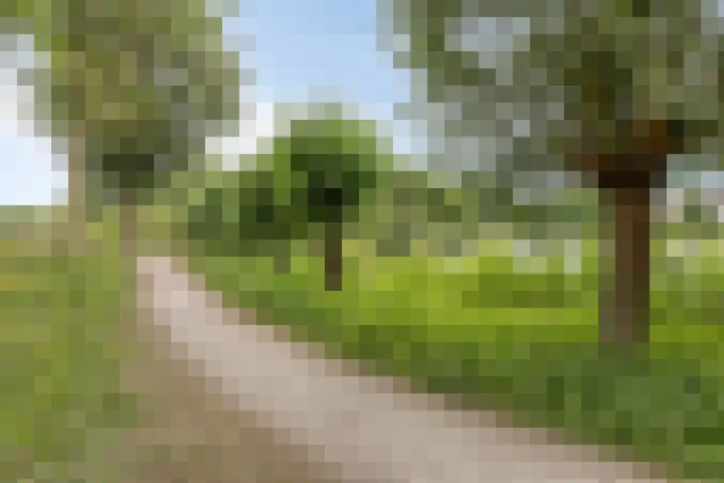 Vliet 35 Zwolle thumbnail 36