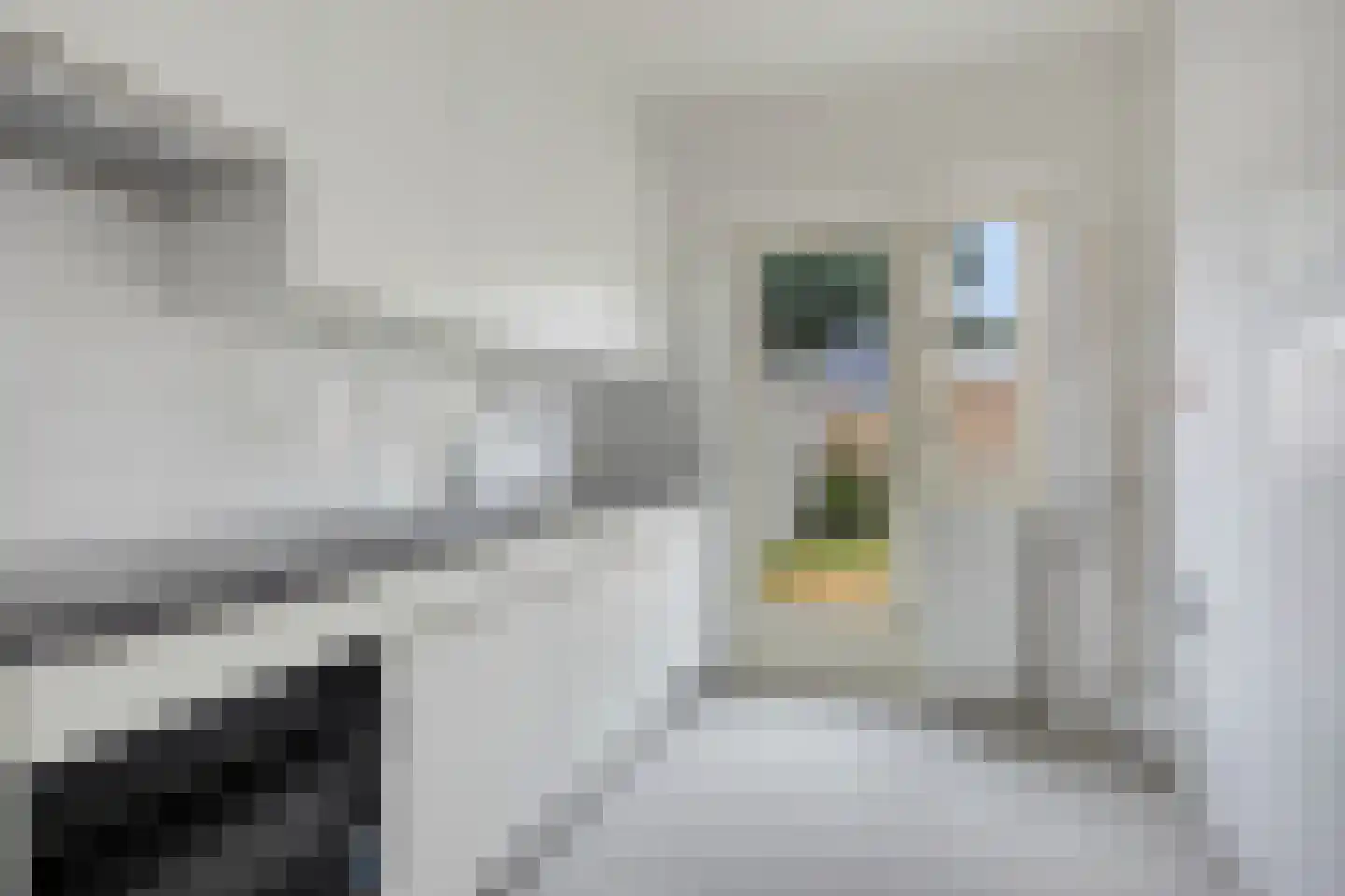 Vliet 35 Zwolle thumbnail 4