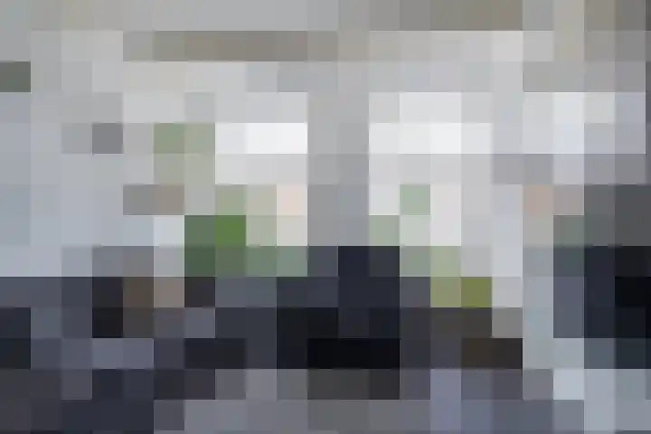 Vliet 36 Franeker thumbnail 14