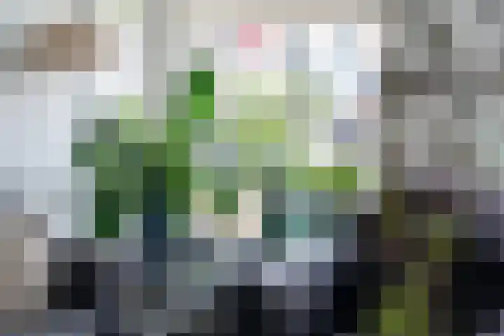 Vliet 36 Franeker thumbnail 15