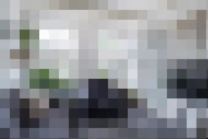 Vliet 36 Franeker thumbnail 16