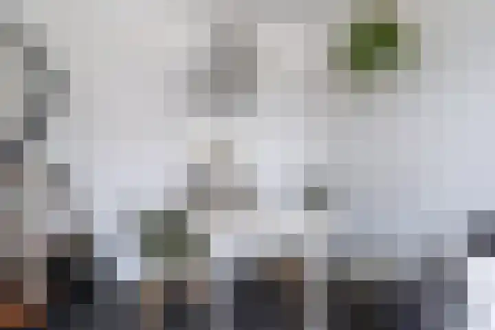 Vliet 36 Franeker thumbnail 17