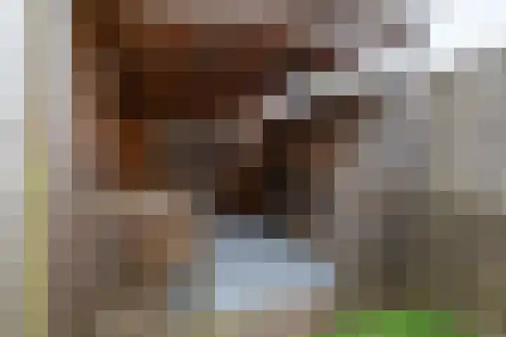 Vliet 36 Franeker thumbnail 32