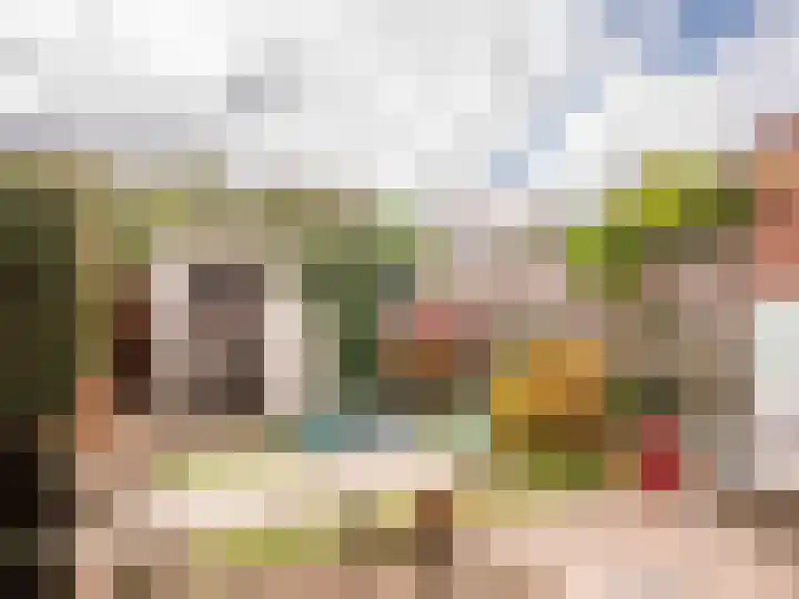 Vliet 4 Bergen (NH) thumbnail 12