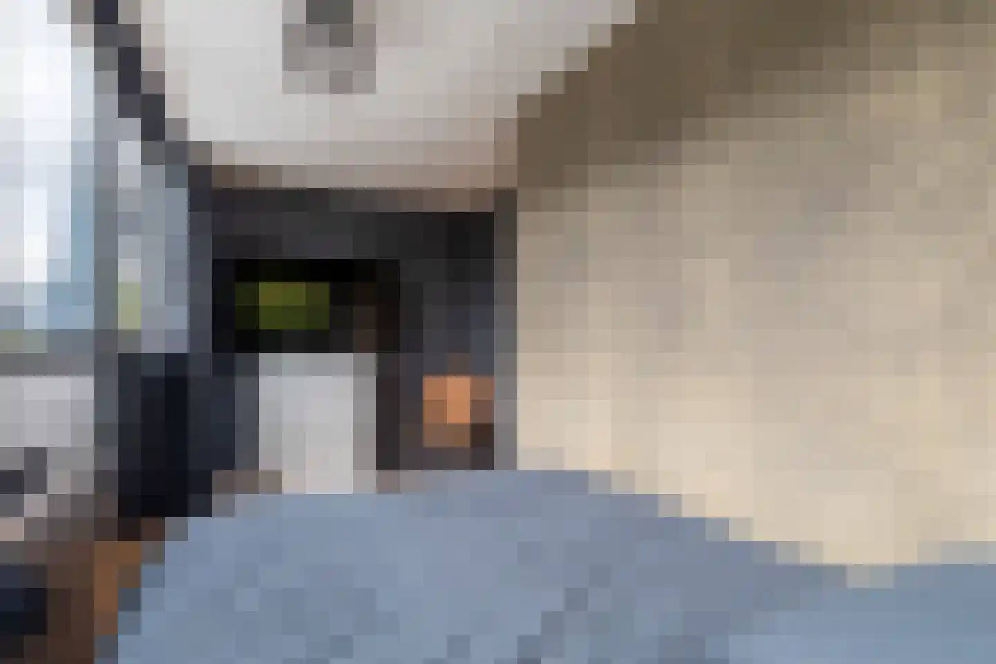 Vliet 42 Heerhugowaard thumbnail 17