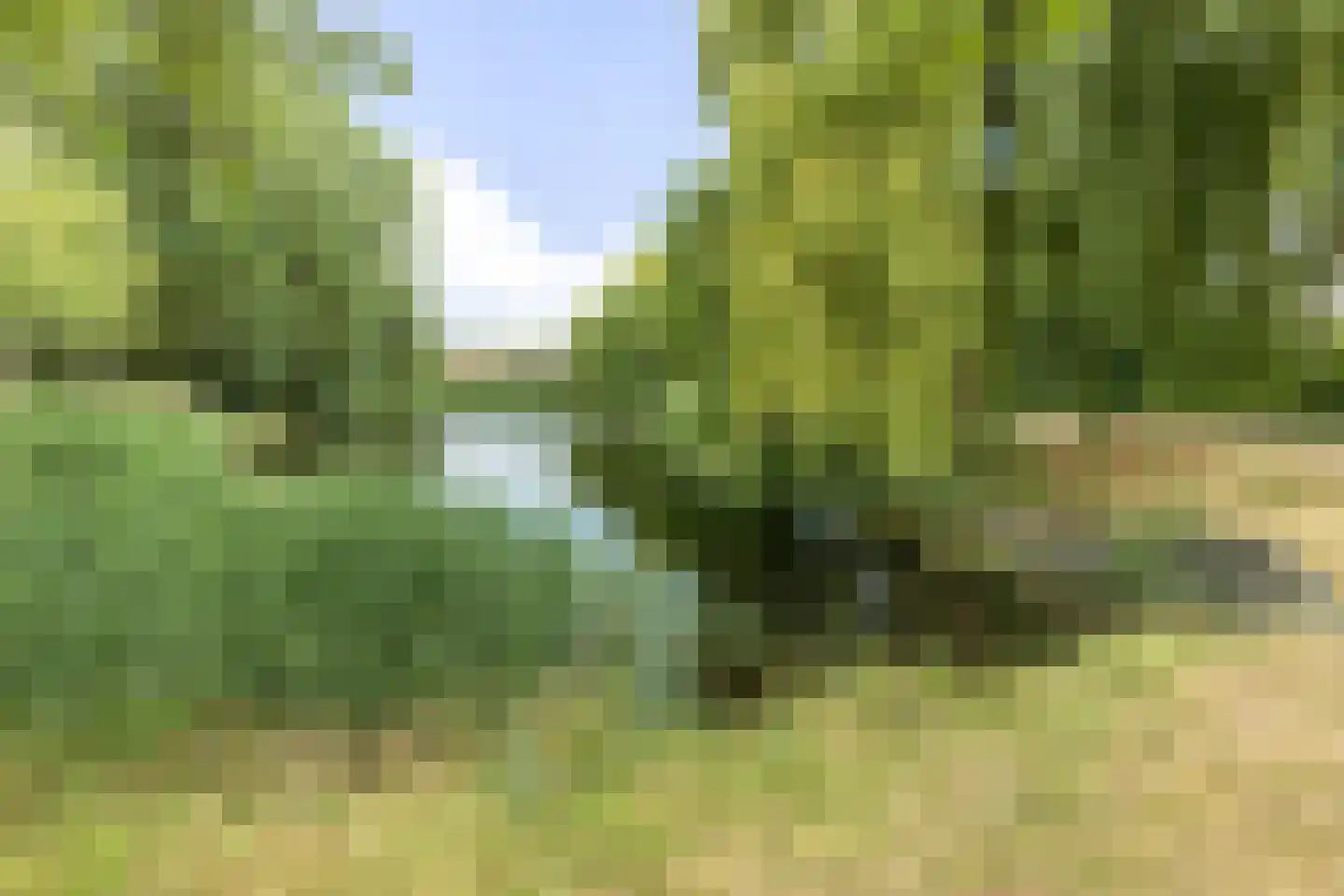 Vliet 42 Heerhugowaard thumbnail 44