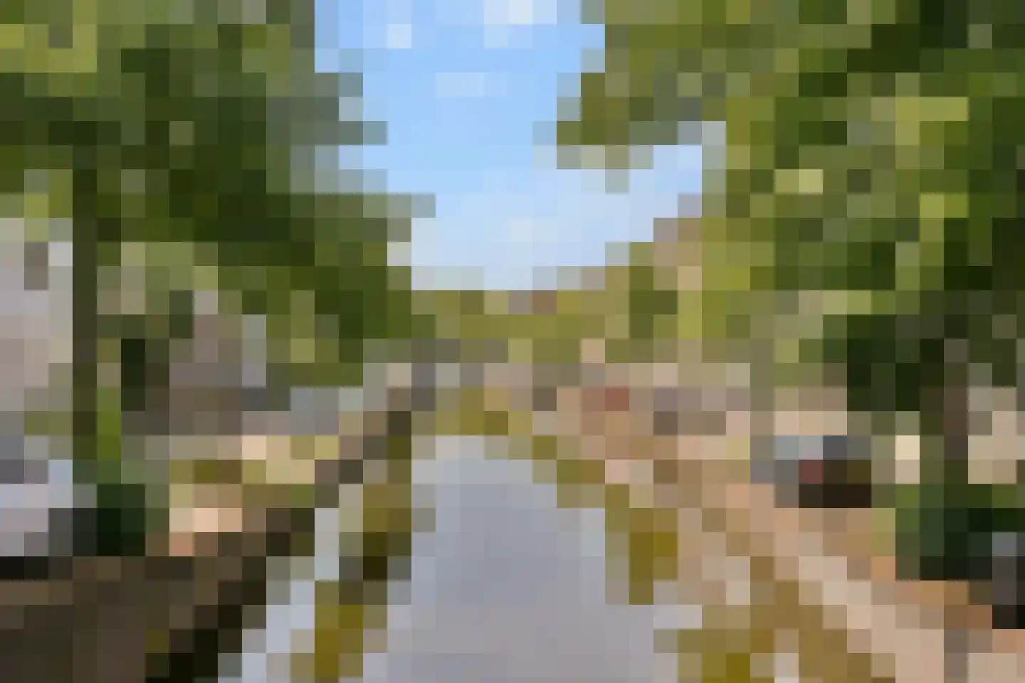 Vliet 5 A Leiden thumbnail 15