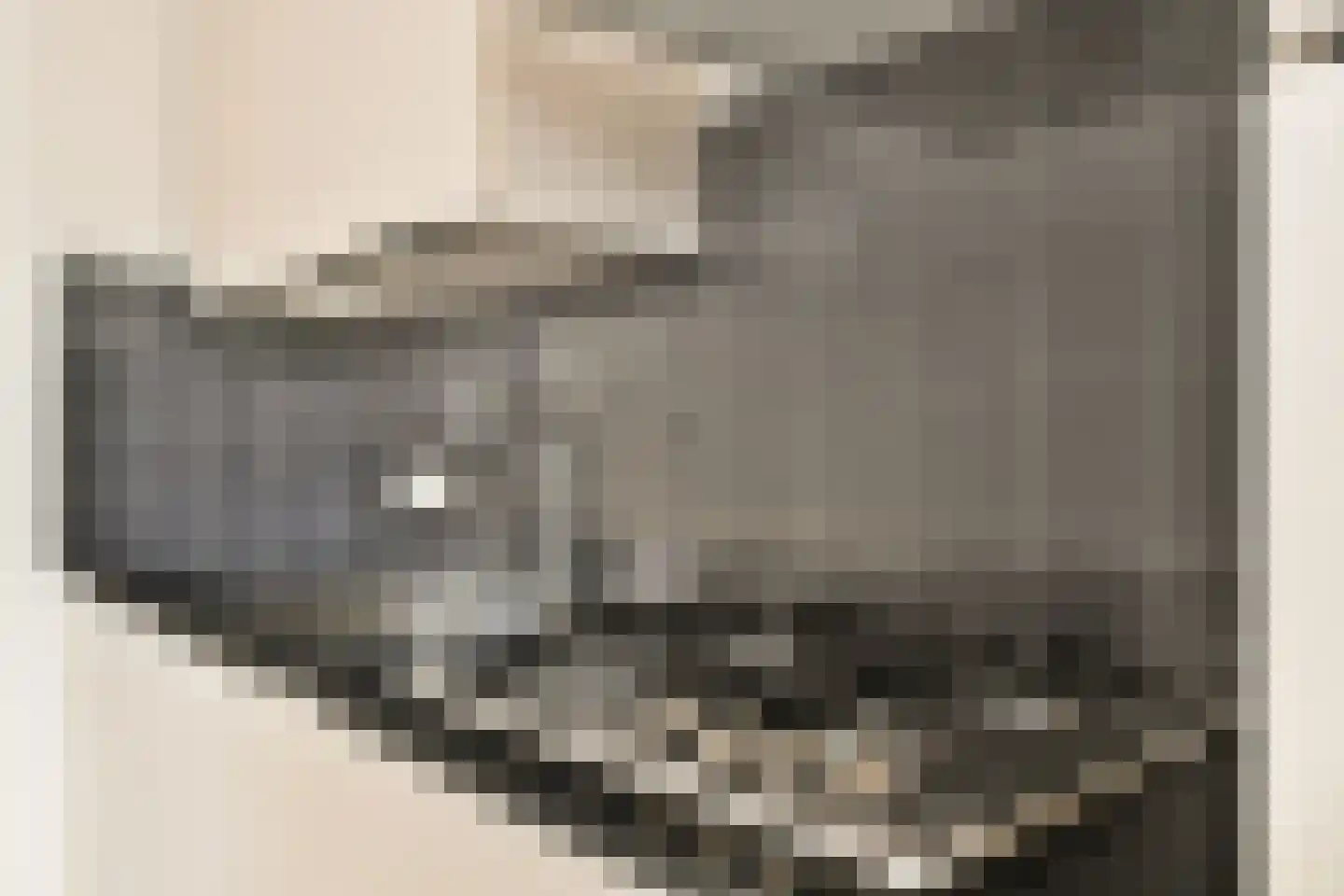 Vliet 5 A Leiden thumbnail 8
