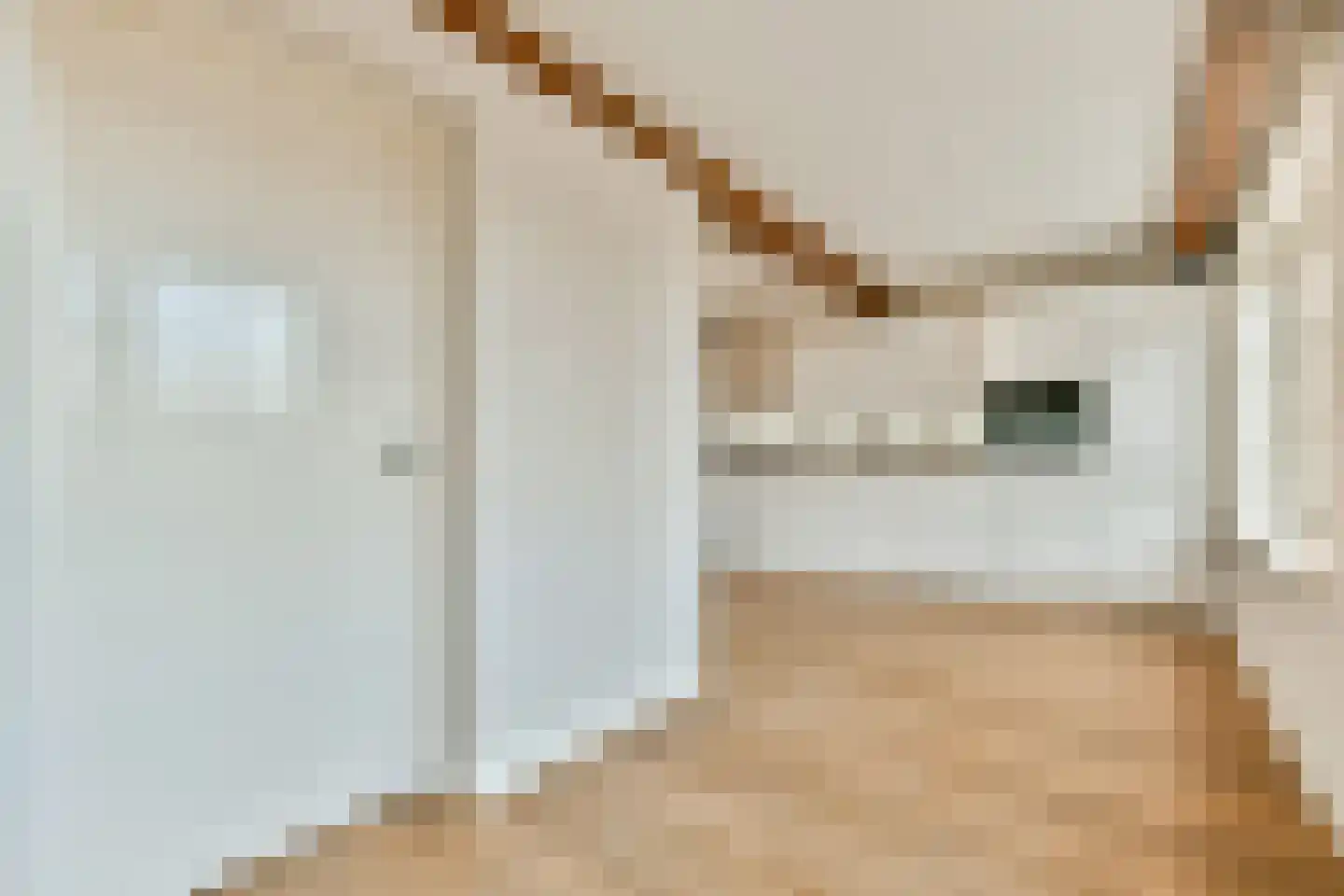 Vliet 5 B Leiden thumbnail 12