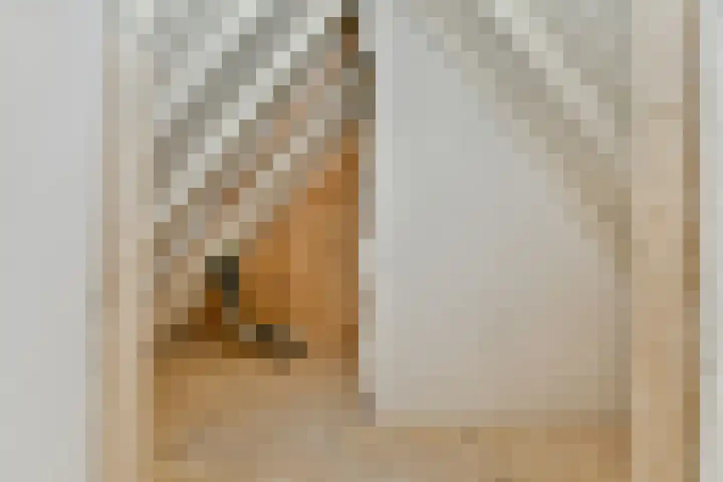 Vliet 5 B Leiden thumbnail 24