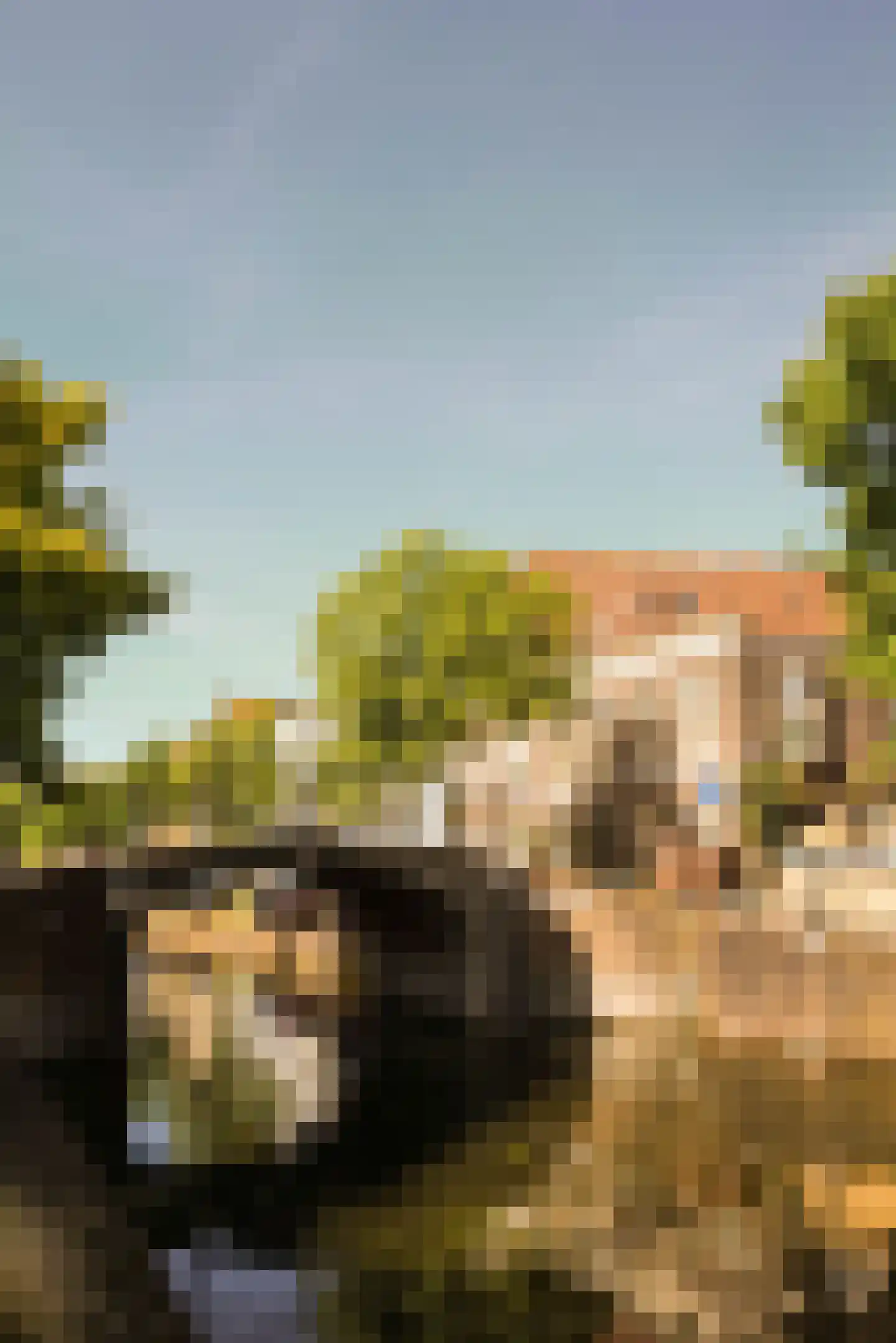 Vliet 5 B Leiden thumbnail 31