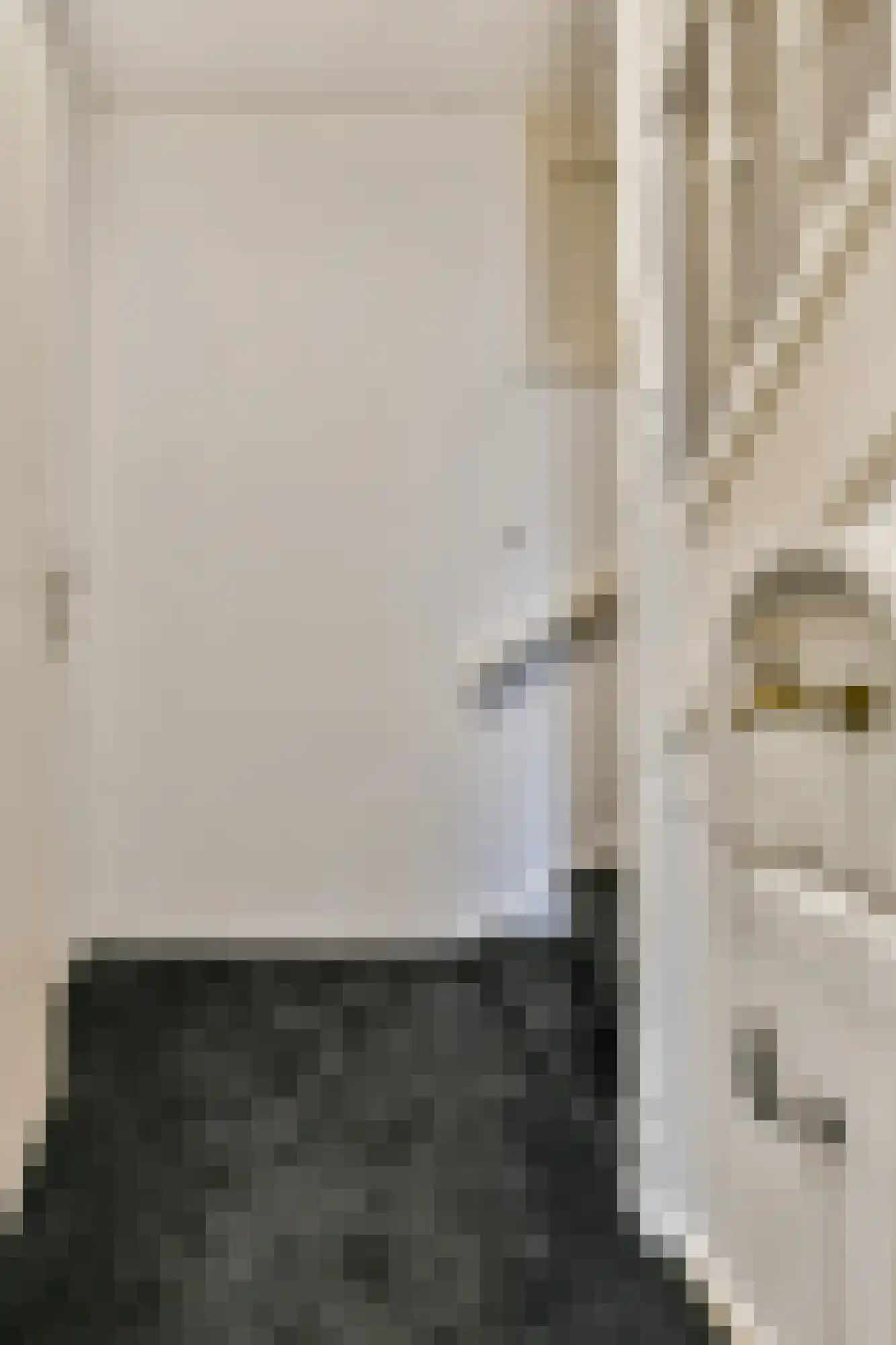 Vliet 5 B Leiden thumbnail 5