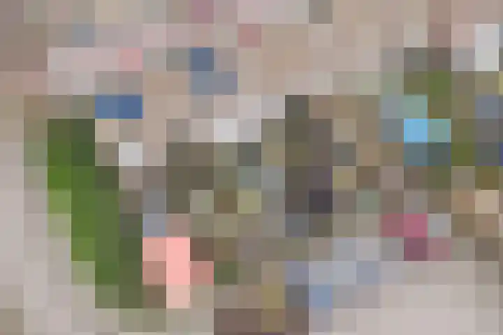 Vliet 51 Heerhugowaard thumbnail 31