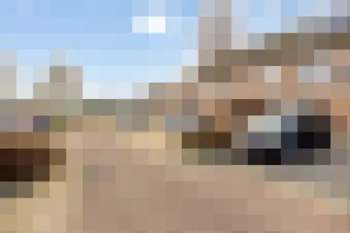Vliet 51 Heerhugowaard thumbnail 32