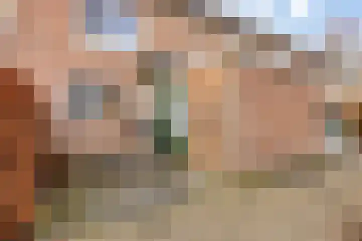 Vliet 51 Heerhugowaard thumbnail 34