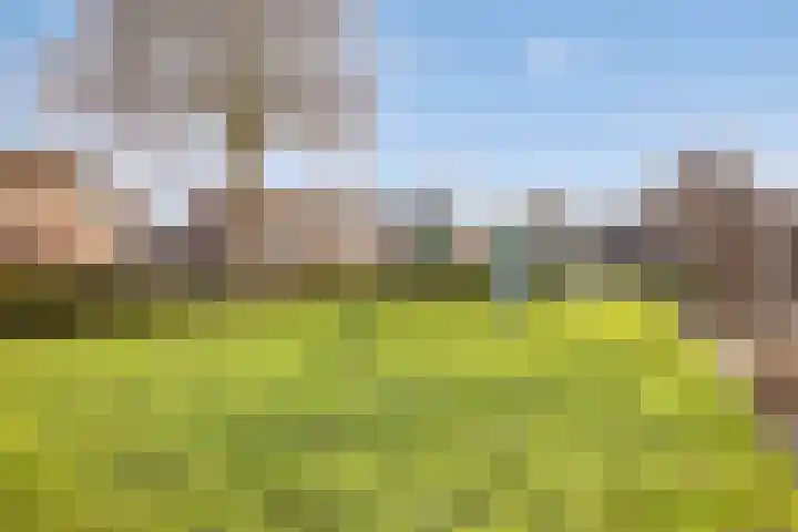 Vliet 51 Heerhugowaard thumbnail 35