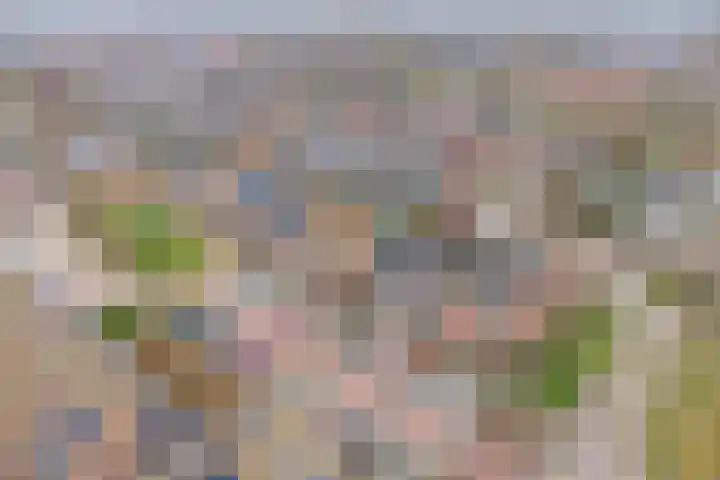 Vliet 51 Heerhugowaard thumbnail 38