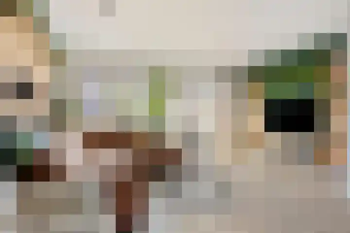 Vliet 51 Heerhugowaard thumbnail 5